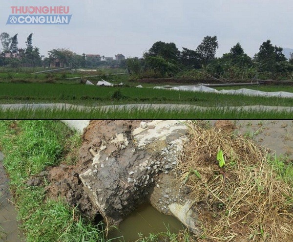 Hàng loạt cột điện bị bật gốc tại Dự án Cải tạo và nâng cấp nhánh Liên Hòa A sau trung gian Kim Thành B lên cấp điện áp 35kV