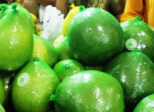 Việt Nam đề nghị phía Mỹ sớm hoàn tất cấp phép cho quả bưởi tươi