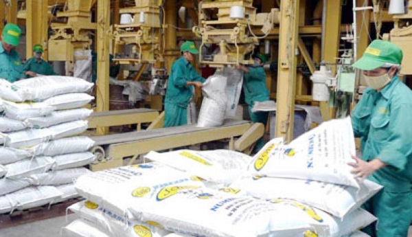 Hà Nội tháo gỡ khó khăn cho doanh nghiệp thức ăn chăn nuôi