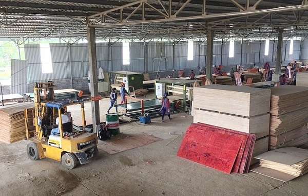 hỗ trợ máy móc thiết bị cho các doanh nghiệp sản xuất ván gỗ ép