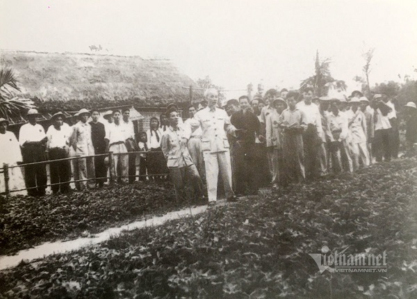 Bác Hồ đứng trước mảnh vườn xưa trồng khoai lang ngày 16/6/1957