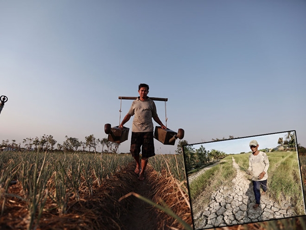 Năm 2020, xuất hiện nhiều hình thái thiên tai dị thường