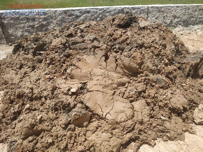 Đất bùn dùng để làm nền đường ghi nhận tại công trình