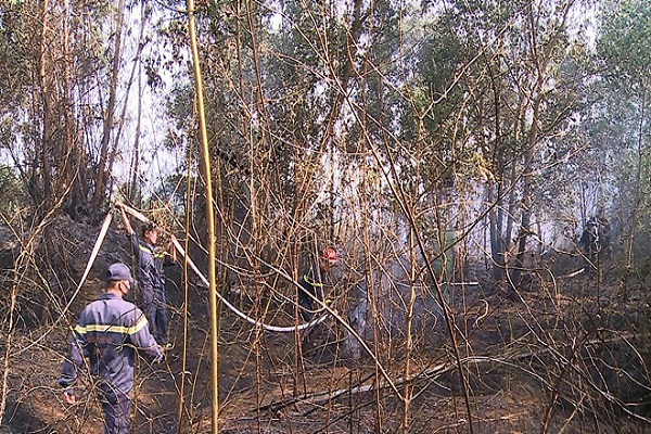 Đà Nẵng: Cháy rừng do thời tiết nắng nóng