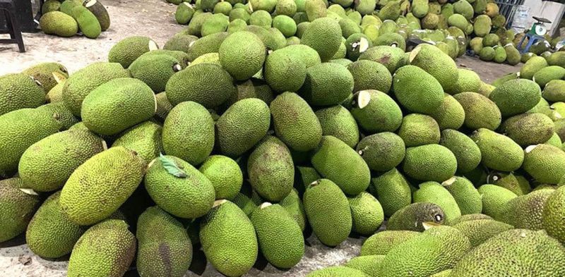 Trái cây giảm giá kỷ lục