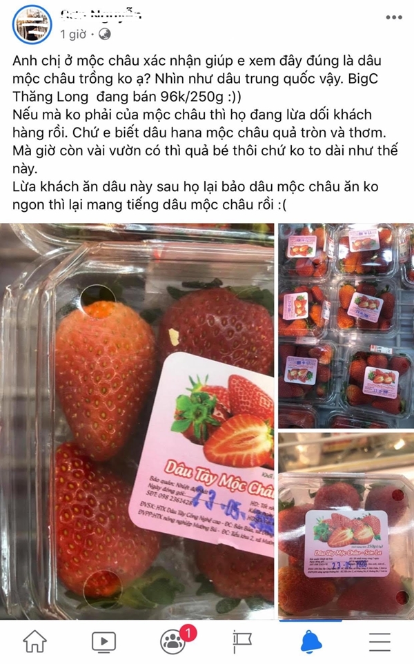 Người tiêu dùng nghi ngờ về nguồn gốc dâu Mộc Châu bán tại siêu thị BigC Thăng Long