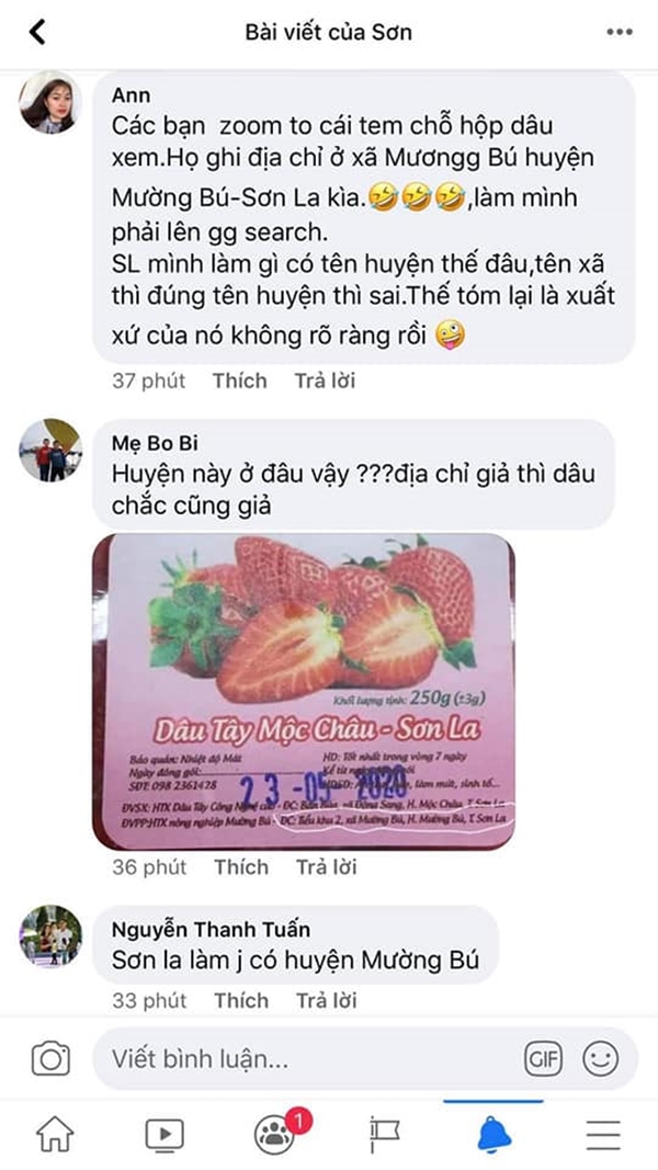 Người tiêu dùng nghi ngờ về nguồn gốc dâu Mộc Châu bán tại siêu thị BigC Thăng Long