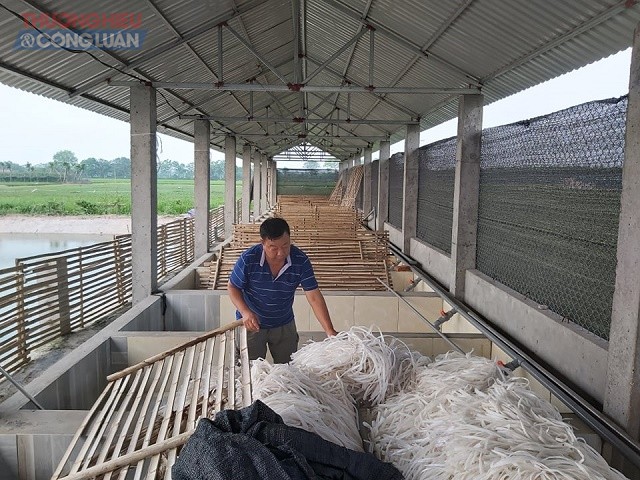 HTX Ngọc Đăng mang lươn giống đi, trang trại chăn nuôi của hộ ông Tuấn phải bỏ trống vì không có tiền tái đàn