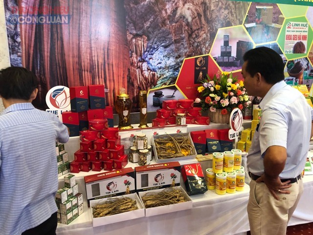 Sâm Bố Chính Tuệ Lâm được Ủy ban nhân dân tỉnh, Sở nông nghiệp tỉnh Quảng Bình và Văn phòng điều phối nông thôn mới lựa chọn tham gia trưng bày tại hội nghị