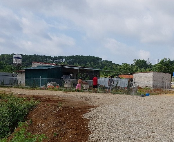 Lạng Sơn: Ý kiến khách hàng về dự án chưa có chủ vẫn vô tư san lấp, xây dựng trái phép