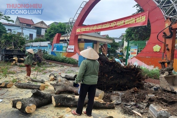 2 cây Phượng vĩ trước cổng trưởng mầm non Hoa Sen đã bị đốn hạ, đào gốc đưa đi (Ảnh: Hoàng Linh, chụp sáng 30/5)