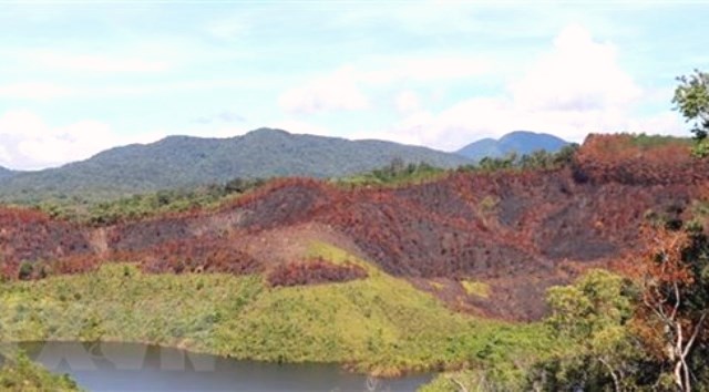 Kon Tum: Khẩn trương phối hợp điều tra vụ cháy hơn 12ha thông