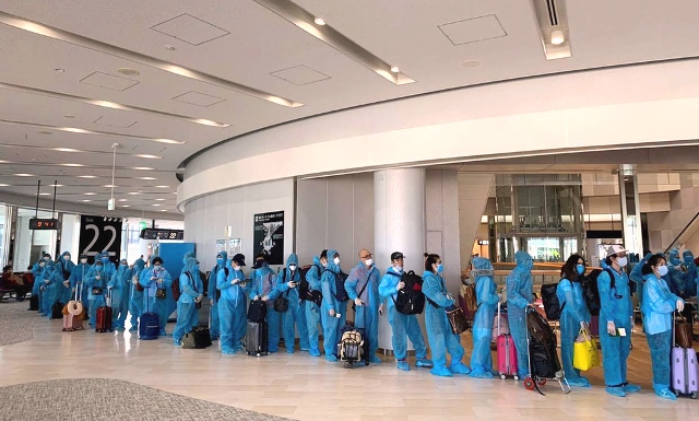 Đà Nẵng: Đón hơn 300 người Việt từ Nhật Bản về nước
