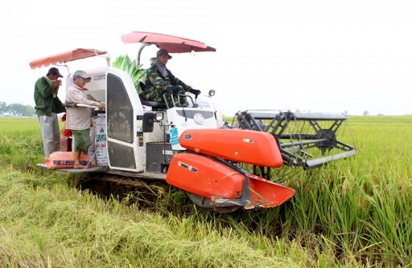 Người d&acirc;n x&atilde; Cao X&aacute; huyện L&acirc;m Thao đưa cơ giới h&oacute;a v&agrave;o sản xuất .