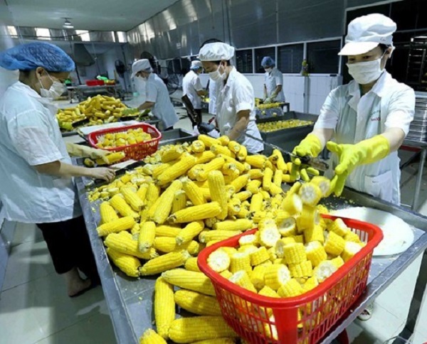 Mở rộng thị trường cho nông sản, thực phẩm, sản phẩm y tế Việt phát triển thị trường Nhật Bản (Ảnh minh họa)