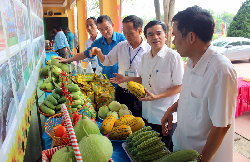 Đoàn công tác của Văn phòng Điều phối Chương trình XD NTM tỉnh thăm quan gian hàng trưng bày các sản phẩm nông nghiệp tiêu biểu của xã Bàn Đạt (Phú Bình).