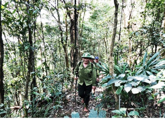 Kiểm lâm Đà Nẵng tăng cường bảo vệ động vật hoang dã