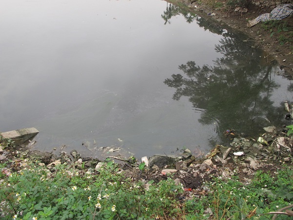 Kênh Bắc Nam Hùng ô nhiễm nghiêm trọng từ nhiều năm nay, đe dọa nguồn nước sạch ở sông Rế