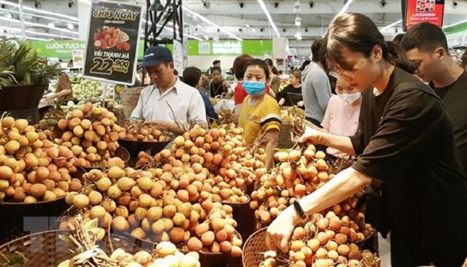 Tuần hàng nông sản trái cây các vùng miền được tổ chức tại quận Hà Đông. (Ảnh: Đỗ Phương Anh/TTXVN)