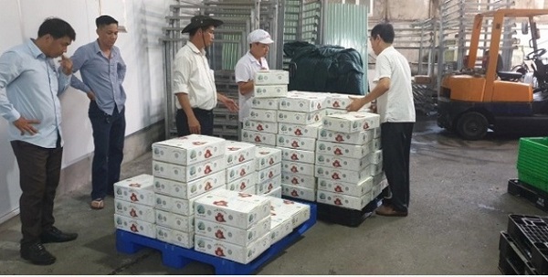 Cục Bảo vệ thực vật cho biết, lô vải thiều đầu tiên xuất khẩu sang thị trường Nhật Bản với khổi lượng hơn 2 tấn đã hoàn thành thủ tục hải quan tại sân bay Narita (Nhật Bản) và đang chờ phân phối về hệ thống siêu thị.