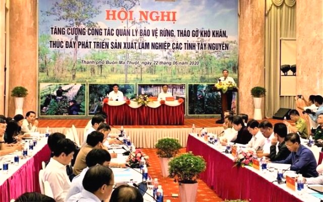 Bộ trưởng NN-PTNT Nguyễn Xuân Cường phát biểu chỉ đạo tại hội nghị.