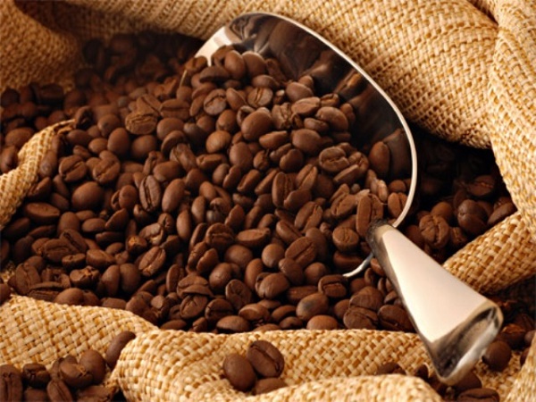 cà phê là một trong những mặt hàng nông sản của Việt Nam đã có mặt tại Châu Phi, chủ yếu là các nước Bắc Phi từ nhiều năm nay