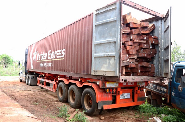 Một khối lượng lớn gỗ căm xe được chất lên xe container.