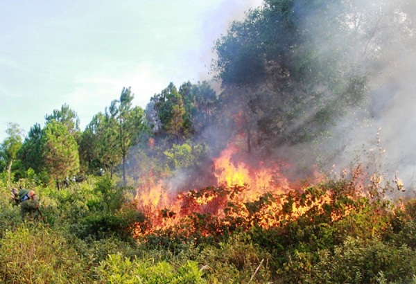 UBND tỉnh Thanh Hóa chỉ đạo tăng cường các biện pháp cấp bách phòng cháy, chữa cháy rừng (Ảnh minh họa)