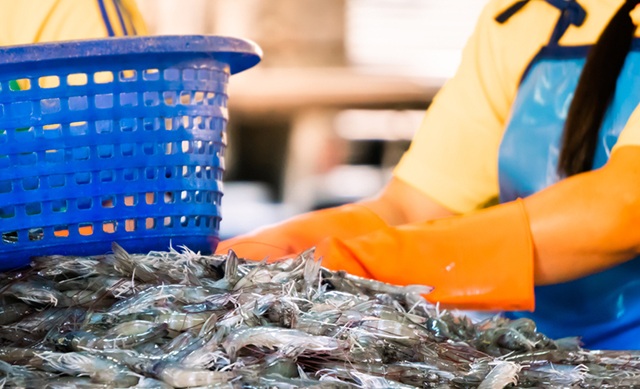 Cơ sở SXKD vật tư nông nghiệp, nông lâm thủy sản vi phạm ATTP tăng so với cùng kỳ