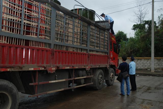 Lạng Sơn: Khởi tố 200 vụ buôn lậu, vi phạm với 293 đối tượng trong 6 tháng đầu năm