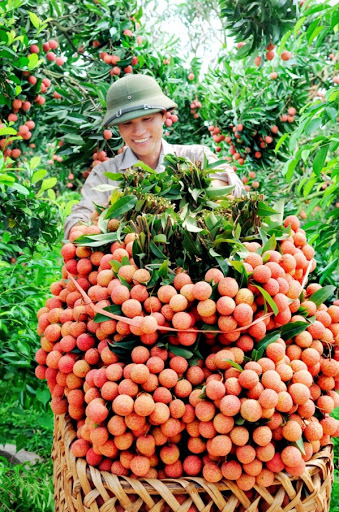 Hiện có 300 điểm cân vải xuất khẩu đi Trung Quốc