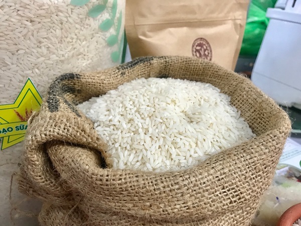 Tập đoàn CJ Hàn Quốc muốn hợp tác với Việt Nam để tăng giá trị cho gạo Việt