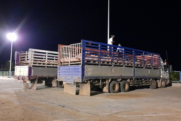Một xe chở lợn được nhập khẩu từ Thái lan