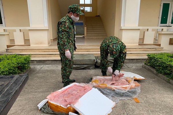 Lạng Sơn:Thu giữ 8.000 gà giống và 150kg nầm lợn nhập lậu