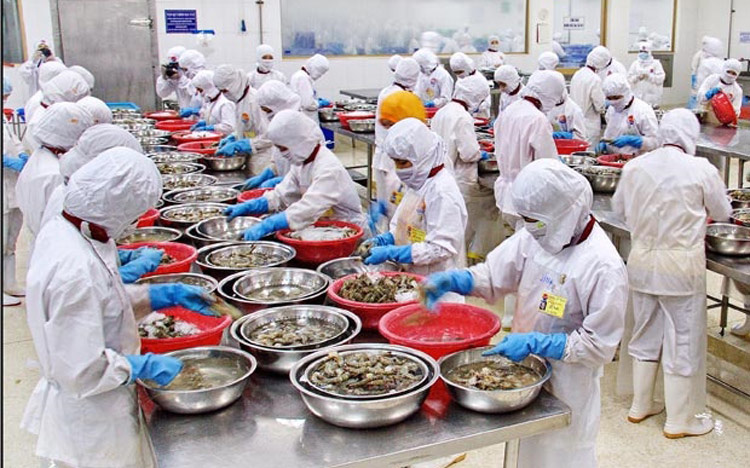 50% số dòng thuế ngành thuỷ sản được xóa bỏ ngay khi Hiệp định EVFTA có hiệu lực