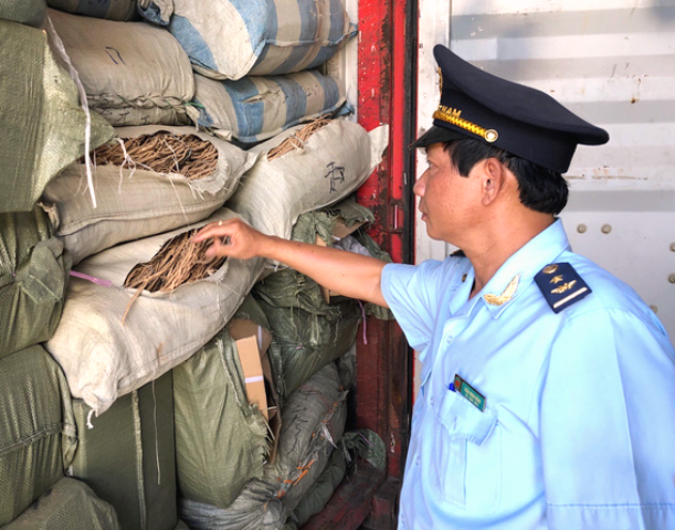 Đà Nẵng: Phát hiện 161 loại thảo dược trong 5 container hàng nhập lậu