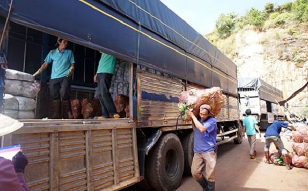 Thủ tướng yêu cầu xử lý phản ánh về chi phí vận chuyển hàng nông sản quá cao