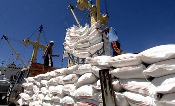 Xuất khẩu gạo sẽ có nhiều thuận lợi từ nay đến cuối năm