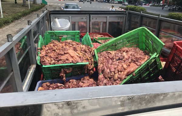 Hà Nội: Phát hiện xe chở hơn 1 tấn nội tạng bốc mùi hôi thối