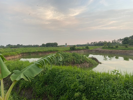 Khu đất ruộng lúa bị khai thác trái phép nay đã thành hồ nước sâu hơn 3 m