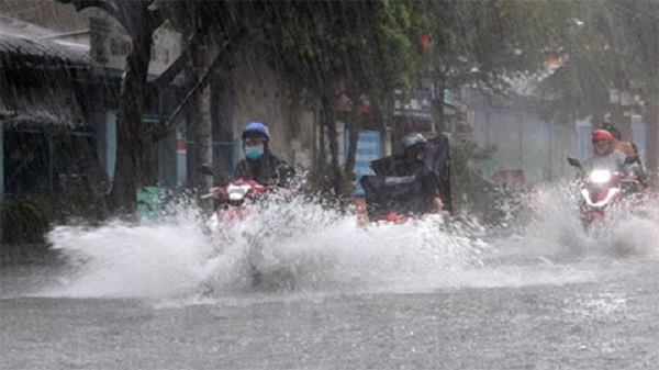 Dự báo thời tiết 31/7: Cảnh báo mưa lớn, gió giật mạnh ở vùng núi Bắc Bộ