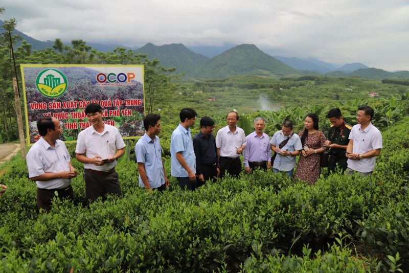 Mô hình vườn cây ăn trái kết hợp với du lịch sinh thái tại xóm Khe Đù, xã Phúc Thuận, thị xã Phổ Yên.