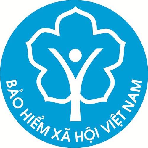 Chính phủ quy định chức năng, nhiệm vụ, quyền hạn và cơ cấu tổ chức của BHXH Việt Nam