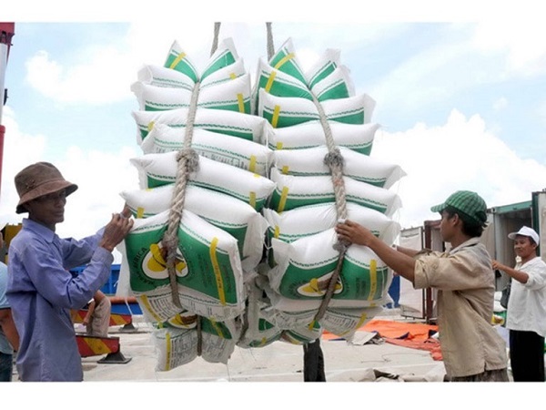 Doanh nghiệp Costa Rica muốn mua gạo Việt Nam