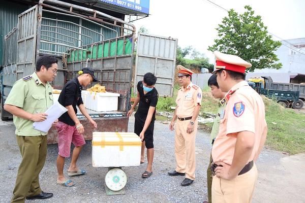 Gần 600kg nội tạng động vật đang phân huỷ, bốc mùi hôi thối, thu gom để vận chuyển về Hà Nội tiêu thụ đã bị lực lượng chức năng tỉnh Phú Thọ phát hiện và bắt giữ.