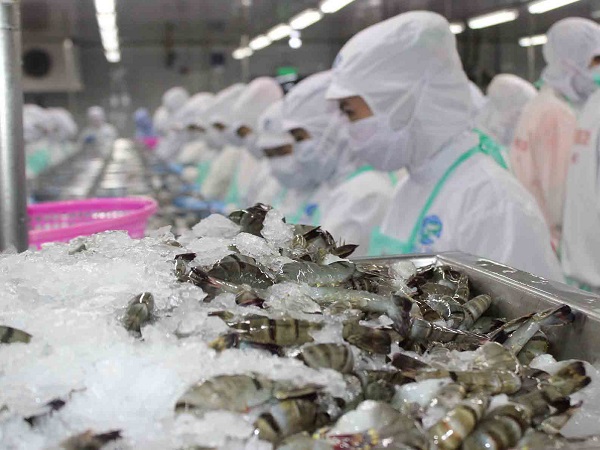 Dự kiến, xuất khẩu tôm Việt Nam sang Trung Quốc sẽ tăng khoảng 7% trong năm 2020
