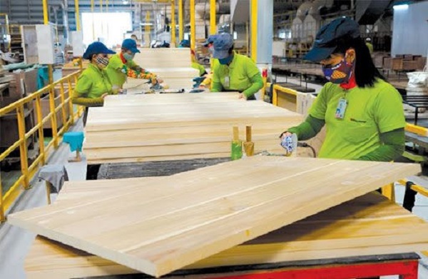 Gỗ cao su dạng tấm xuất khẩu chính thức được áp thuế 0%