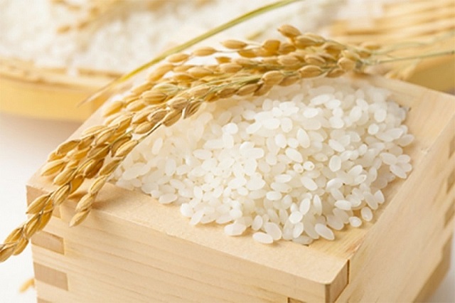 Giá lúa gạo hôm nay ngày 17/8: Duy trì sự ổn định