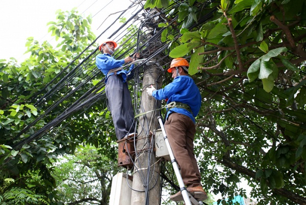Nhân viên Viễn Thông Phú Thọ bó gọn cáp viễn thông treo trên các cột điện.