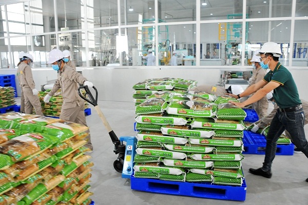 Thương hiệu gạo Việt: Chinh phục thị trường quốc tế